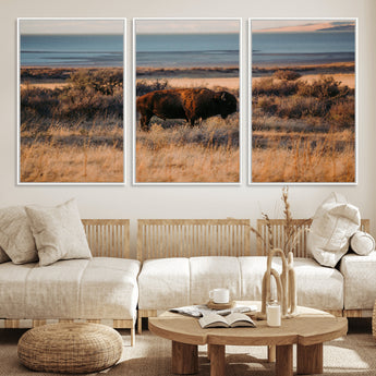 39509187-MGV-FC-60X30-3P_White-Western Wildlife Wall Art Canvas Print, Framed Bison Art Picture Print, Golden Hour Perfect Western Rustic Decor Artwork