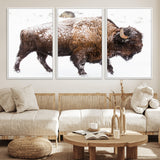 94261165-MGV-FC-60X30-3P_White-Snowy Buffalo Wall Art Canvas Print, Framed Wildlife Photography Art Picture Print, Brown Tones Perfect Rustic Lodge Decor Decor