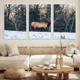 36533178-MGV-FC-60X30-3P_White-Wild Elk Photography Wall Art Canvas Print, Framed Winter Wildlife Art Picture Print, Snowy Forest Perfect Rustic Lodge Decor