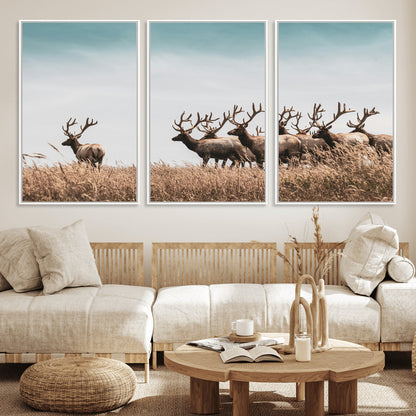 81594705-MGV-FC-60X30-3P_White-Elk Herd Wall Art Canvas Print, Framed Wildlife Photography Art Picture Print, Rustic Nature Print Perfect Rustic Wildlife Decor