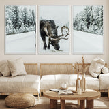 13316292-MGV-FC-60X30-3P_White-Moose in Snow Wall Art Canvas Print, Framed Winter Wildlife Art Picture Print, Snowy Forest Scene Perfect Rustic Lodge Decor