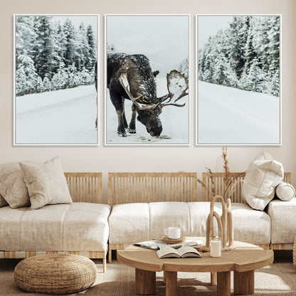 13316292-MGV-FC-60X30-3P_White-Moose in Snow Wall Art Canvas Print, Framed Winter Wildlife Art Picture Print, Snowy Forest Scene Perfect Rustic Lodge Decor