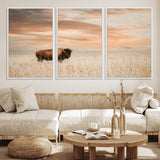 20306324-MGV-FC-60X30-3P_White-Bison Wall Art – Lone American Buffalo Prairie Sunset Canvas Print, Rustic Western Wildlife Photography Decor for Living Room,