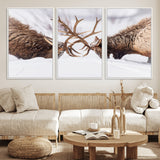 99240306-MGV-FC-60X30-3P_White-Elk Wall Art – Two Bull Elk Fighting in Snow Canvas Print, Rustic Wildlife Artwork for Cabin, Lodge, Western Farmhouse, Nature &