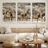 93076148-MGV-FC-60X30-3P_White-Elk Herd Wall Art – Wildlife Canvas Print of Elk in Winter Landscape, Rustic Western Cabin & Lodge Décor, Nature Photography for