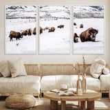38217250-MGV-CV-36X24-Bison Herd Wall Art – Wildlife Canvas Print of Buffalo Winter Snow Scene, Rustic Western Lodge Décor, Farmhouse & Cabin Nature