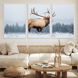 85177251-MGV-FC-60X30-3P_White-Elk Wall Art – Majestic Wildlife Canvas Print of Bull Elk Snowy Forest, Rustic Nature Decor for Living Room, Cabin, or Office