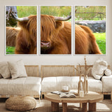 68411138-MGV-FC-60X30-3P_White-Farmhouse Wall Art – Highland Cow Canvas Print, Rustic Country Cattle Photography Decor for Bedroom, Living Room, Office, Ranch,