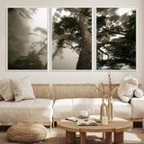 87969493-MGV-CV-36X24-Forest Wall Art – Misty Tall Trees Canvas Print, Dramatic Woodland Photography Decor for Bedroom, Living Room, Office, Cabin,
