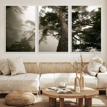 87969493-MGV-CV-36X24-Forest Wall Art – Misty Tall Trees Canvas Print, Dramatic Woodland Photography Decor for Bedroom, Living Room, Office, Cabin,
