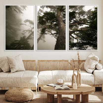 87969493-MGV-CV-36X24-Forest Wall Art – Misty Tall Trees Canvas Print, Dramatic Woodland Photography Decor for Bedroom, Living Room, Office, Cabin,