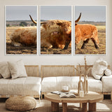88780-MGV-FC-60X30-3P_White-Highland Cow Wall Art Canvas Print, Framed Cow Calf Art Picture Print, Scottish Cattle Perfect Rustic Farmhouse Decor Artwork