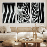 43631-MGV-FC-60X30-3P_White-Zebra Wall Art – Black & White Safari Wildlife Canvas Print, Modern Animal Photography Decor for Living Room, Office, or Bedroom