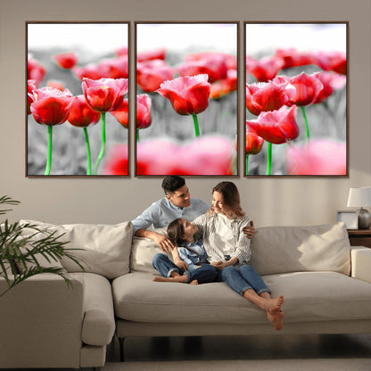 44554-MGV-CV-36X24-Vibrant red tulips stand out beautifully against a black-and-white background, making a striking decor piece perfect for any home