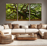 29407-MGV-CV-36X24-Ancient Oak Tree Wall Art – Majestic Nature Canvas Print, Large Tree Photography Decor for Living Room