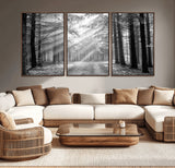 39665-MGV-CV-36X24-Black and White Forest Path Wall Art – Sunlight Rays in Trees Canvas Print, Nature Landscape Decor for Living Room