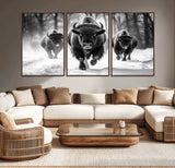 97552-MGV-CV-36X24-Black and White Bison Wall Art – Buffalo Herd Running in Snow Canvas Print, Rustic Wildlife Photography Decor for Cabin, Lodge, or