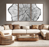 98709-MGV-CV-36X24-Tree Ring Wall Art – Black and White Canvas Print Rustic Wood Cross Section, Minimal Nature Inspired Decor for Living Room,