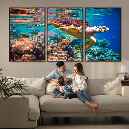 66614-MGV-CV-36X24-Sea Turtle Wall Art – Hawksbill Turtle Swimming Over Coral Reef Canvas Print, Ocean Marine Life Decor for Beach House, Coastal