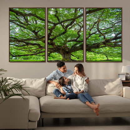 49375306-MGV-CV-36X24-Ancient Tree Wall Art Canvas Print, Framed Sprawling Branches Art Picture Print, Gnarling Tree Perfect Earthy Natural Decor