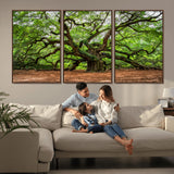 51255351-MGV-CV-36X24-Ancient Tree Wall Art – Majestic Oak Canvas Print, Large Nature Photography, Sacred Forest Landscape Wall Décor, Wisdom Tree