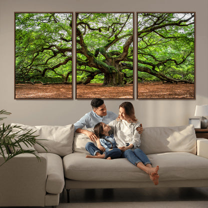 51255351-MGV-CV-36X24-Ancient Tree Wall Art – Majestic Oak Canvas Print, Large Nature Photography, Sacred Forest Landscape Wall Décor, Wisdom Tree