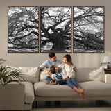 81655611-MGV-CV-36X24-Ancient Oak Wall Art Canvas Print, Framed Twisted Branches Art Picture Print, Gnarled Tree Perfect Moody Nature Decor Artwork