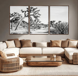 88164251-MGV-CV-36X24-Joshua Tree Wall Art Canvas Print, Framed Desert Path Art Picture Print, Monochrome Desert Perfect Minimalist Desert Decor Artwork