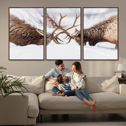 36507609-MGV-CV-36X24-Elk Clash Scene Wall Art Canvas Print, Framed Wildlife Strength Decor Art Picture Print, Snowy Forest Elk Perfect Rustic Lodge