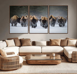 41669135-MGV-CV-36X24-Bison Herd Scene Wall Art Canvas Print, Framed Rustic Wildlife Decor Art Picture Print, Snowy Bison Landscape Perfect Rustic