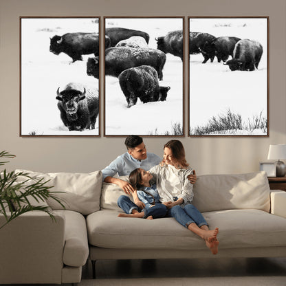 18914414-MGV-CV-36X24-Buffalo Herd Wall Art Canvas Print, Framed Black and White Art Picture Print, Snowy Landscape Perfect Rustic Lodge Decor Decor