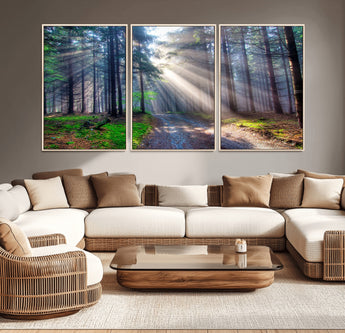 42047-MGV-CV-36X24-Sunlit Forest Path Wall Art – Nature Canvas Print, Serene Woodland Landscape, Perfect Home & Office Decor for Calm and Tranquil