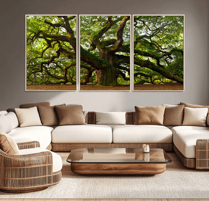 29407-MGV-CV-36X24-Ancient Oak Tree Wall Art – Majestic Nature Canvas Print, Large Tree Photography Decor for Living Room or Office