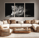 80013-MGV-CV-36X24-Lion and Lioness Wall Art – Black and White Wildlife Photography Canvas Print, African Safari Animal Decor for Office, Bedroom