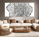 98709-MGV-CV-36X24-Tree Ring Wall Art – Black and White Canvas Print Rustic Wood Cross Section, Minimal Nature Inspired Decor for Living Room,
