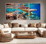 66614-MGV-CV-36X24-Sea Turtle Wall Art – Hawksbill Turtle Swimming Over Coral Reef Canvas Print, Ocean Marine Life Decor for Beach House, Coastal