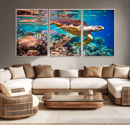 66614-MGV-CV-36X24-Sea Turtle Wall Art – Hawksbill Turtle Swimming Over Coral Reef Canvas Print, Ocean Marine Life Decor for Beach House, Coastal