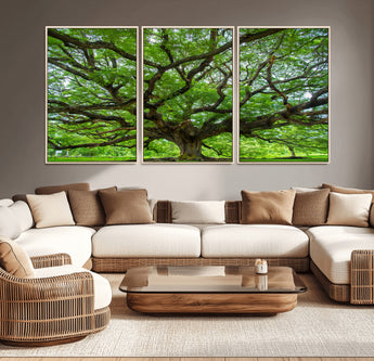 49375306-MGV-CV-36X24-Ancient Tree Wall Art Canvas Print, Framed Sprawling Branches Art Picture Print, Gnarling Tree Perfect Earthy Natural Decor