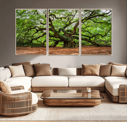 51255351-MGV-CV-36X24-Ancient Tree Wall Art – Majestic Oak Canvas Print, Large Nature Photography, Sacred Forest Landscape Wall Décor, Wisdom Tree