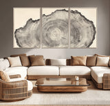 98921313-MGV-CV-36X24-Tree Ring Wall Art Canvas Print, Framed Wood Slice Art Picture Print, Minimalist Wood Perfect Rustic Academic Decor Artwork