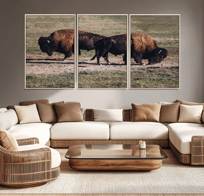 58141885-MGV-CV-36X24-Bison Photography Wall Art Canvas Print, Framed Western Wildlife Art Picture Print, Modern Ranch Perfect Western Rustic Decor