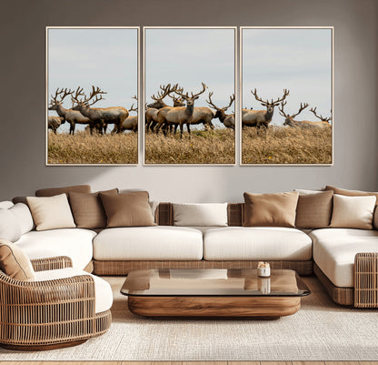 42170220-MGV-CV-36X24-Elk Herd Wall Art Canvas Print, Framed Wildlife Photography Art Picture Print, Majestic Antlers Perfect Rustic Wildlife Decor