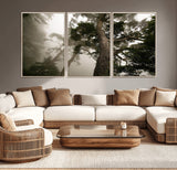 87969493-MGV-CV-36X24-Forest Wall Art – Misty Tall Trees Canvas Print, Dramatic Woodland Photography Decor for Bedroom, Living Room, Office, Cabin,