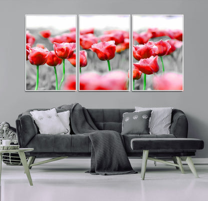 44554-MGV-CV-36X24-Vibrant red tulips stand out beautifully against a black-and-white background, making a striking decor piece perfect for any home