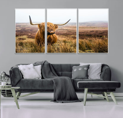 79391-MGV-CV-36X24-Majestic Highland Cow in Misty Scottish Moorland – Rustic Natural Charm, Perfect for Unique Home or Office Decor