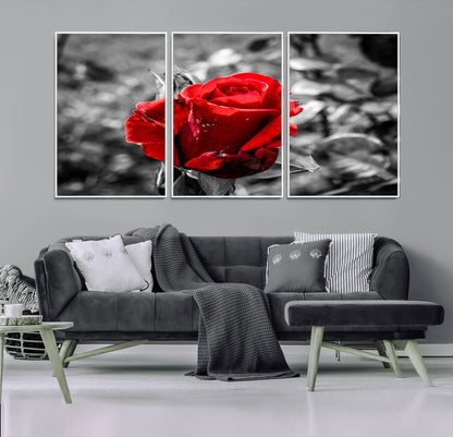 84671-MGV-CV-36X24-Red Rose Wall Art – Vibrant Single Bloom Canvas Print with Black and White Background, Elegant Floral Decor for Living Room,