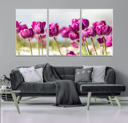 30632-MGV-CV-36X24-Purple Tulip Field Wall Art – Beautiful Spring Flowers Canvas Print with Soft Focus and Bright Sky, Ideal Floral Decor for Home or