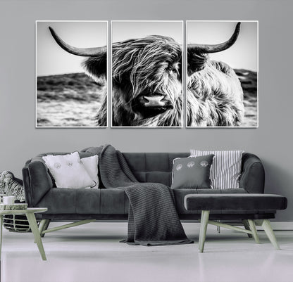 36979-MGV-CV-36X24-Striking black-and-white portrait of a Highland cow with flowing fur and majestic horns, perfect for rustic and elegant home or