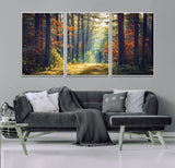 86249-MGV-FC-60X30-3P_White-Sunlit Autumn Forest Path Wall Art – Peaceful Nature Scene with Fall Foliage, Calming Woods Decor for Home or Office