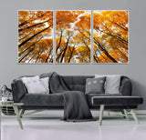 11823-MGV-CV-36X24-Golden Autumn Tree Canopy Wall Art – Stunning Fall Forest Leaves Print, Warm Seasonal Nature Decor for Home, Office or Cabin